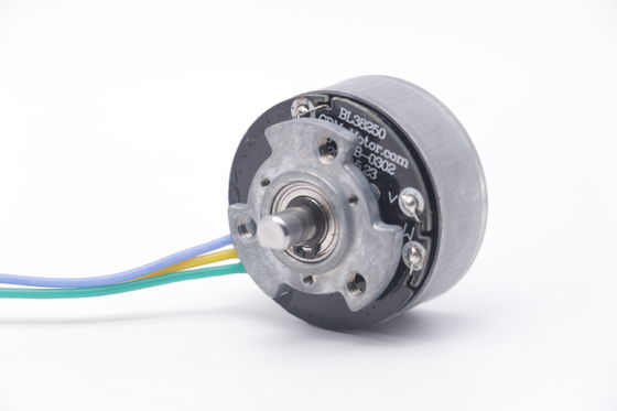 DBL3825 12V 24V BLDC Motor High Torque Fascial Gun Mini DC borstelloze motor