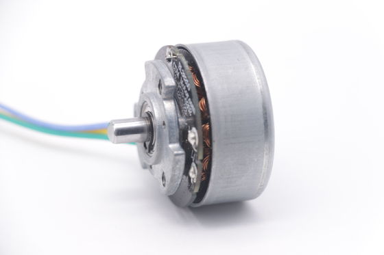 DBL3825 12V 24V BLDC Motor High Torque Fascial Gun Mini DC borstelloze motor