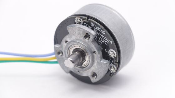 DBL3825 12V 24V BLDC Motor High Torque Fascial Gun Mini DC borstelloze motor