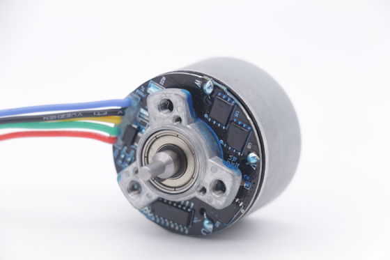 DBL3830O Motor 12v 3500rpm 38mm Outrunner borstelloze motor voor mini-massagepistool