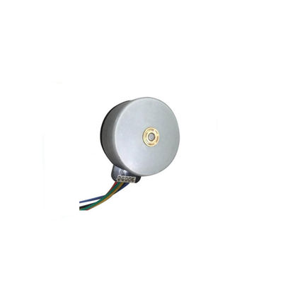 12V 24V Mini High Torque BLDC Motor Massage Gun Borstelloze Motor