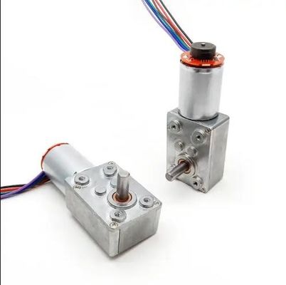 Hoge koppel DC worm gear motor lage snelheid Power Off zelfvergrendelende motor met encoder