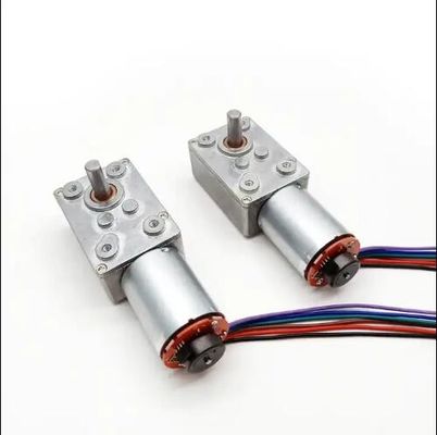 Hoge koppel DC worm gear motor lage snelheid Power Off zelfvergrendelende motor met encoder
