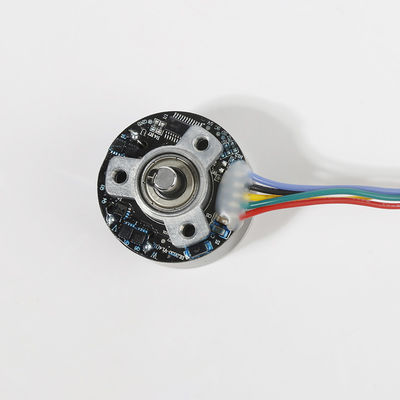 38mm Laag geluid 12V borstelloze DC motor met hoog koppel voor massagegevang