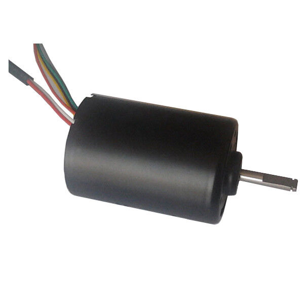 DBL4260 30W hoog koppel DC borstelloze motor waterpomp 24 Volt BLDC motor