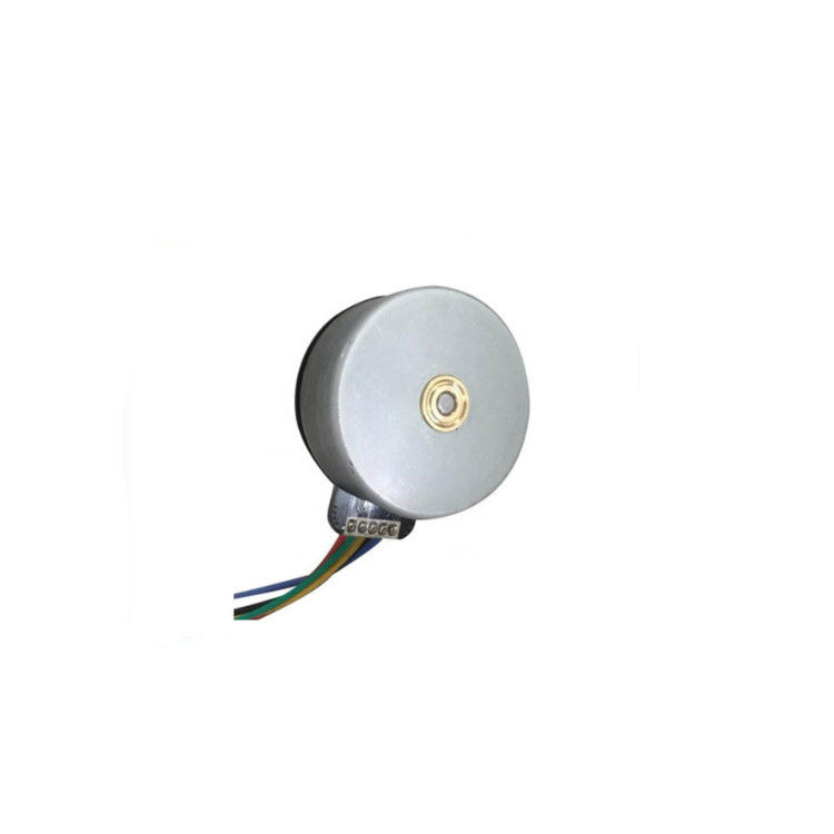 12V 24V Mini High Torque BLDC Motor Massage Gun Borstelloze Motor