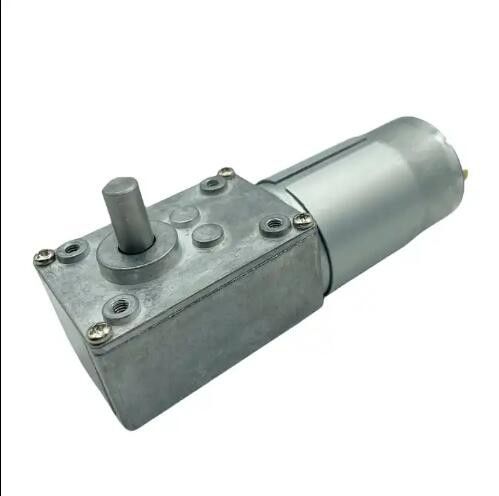 High Torque Brush DC Gear Motor 12V 555 Worm Gear Motor 24V lage snelheid