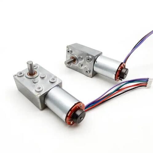 Hoge koppel DC worm gear motor lage snelheid Power Off zelfvergrendelende motor met encoder